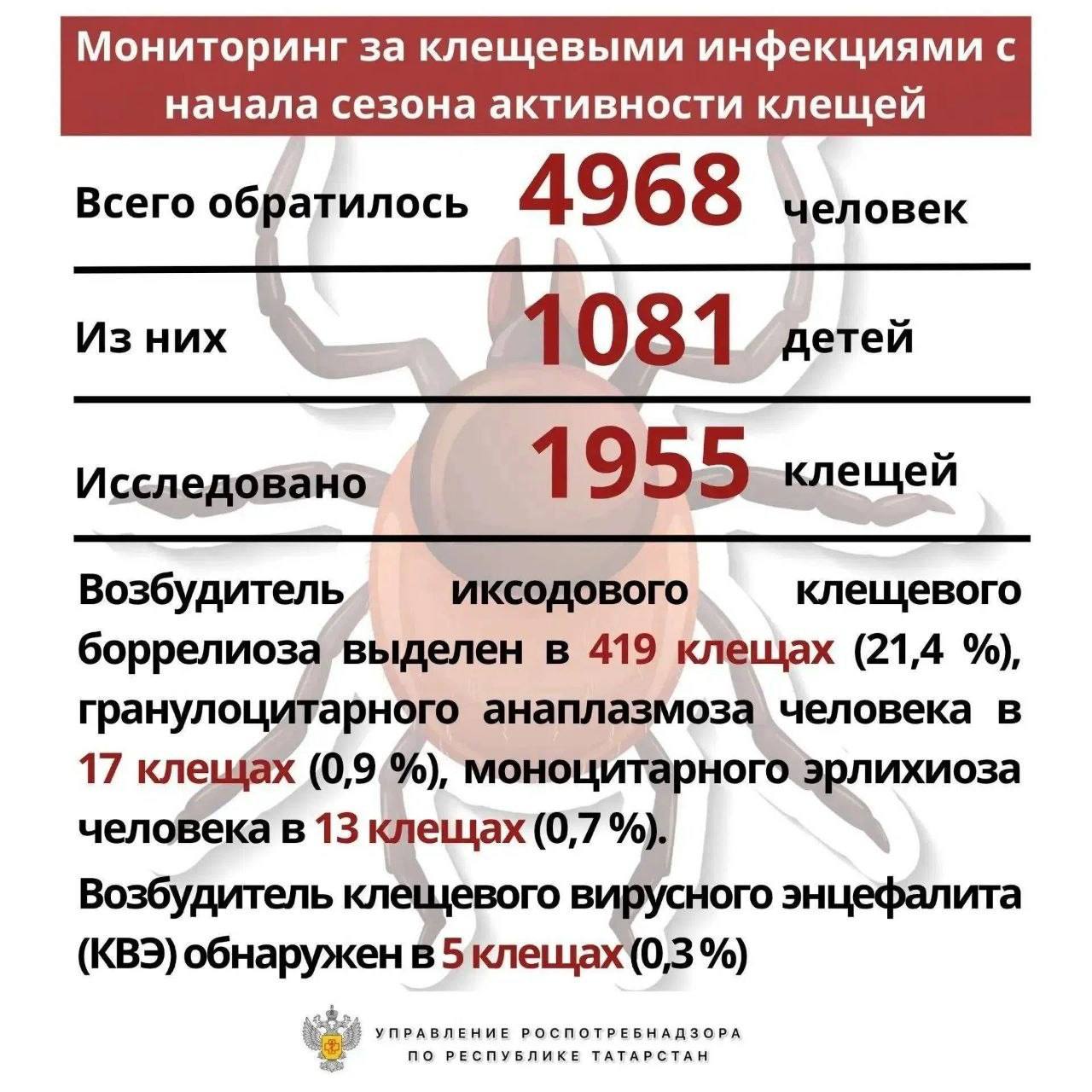 🕷️ В Альметьевском районе уже 314 человек пострадали от укусов клещей